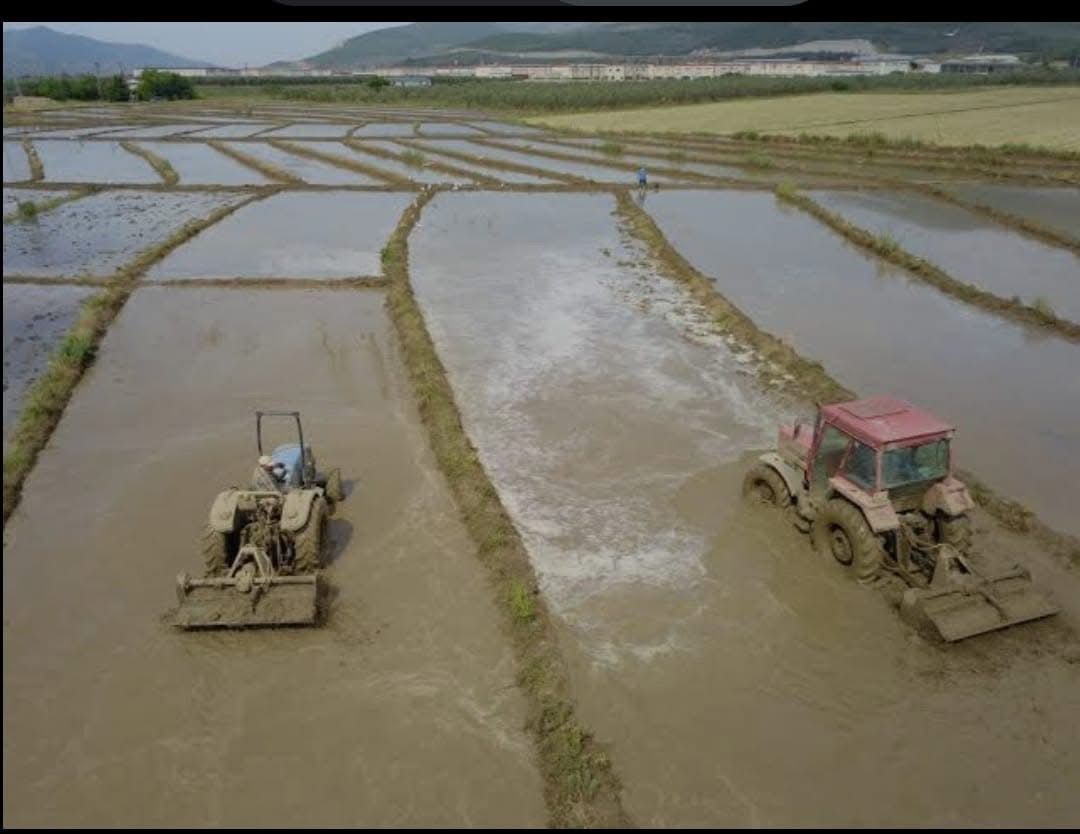 📍İlçe Çeltik Komisyonu, 2026 Yılı Çeltik Ekimi İçin Önemli Kararlar Aldı