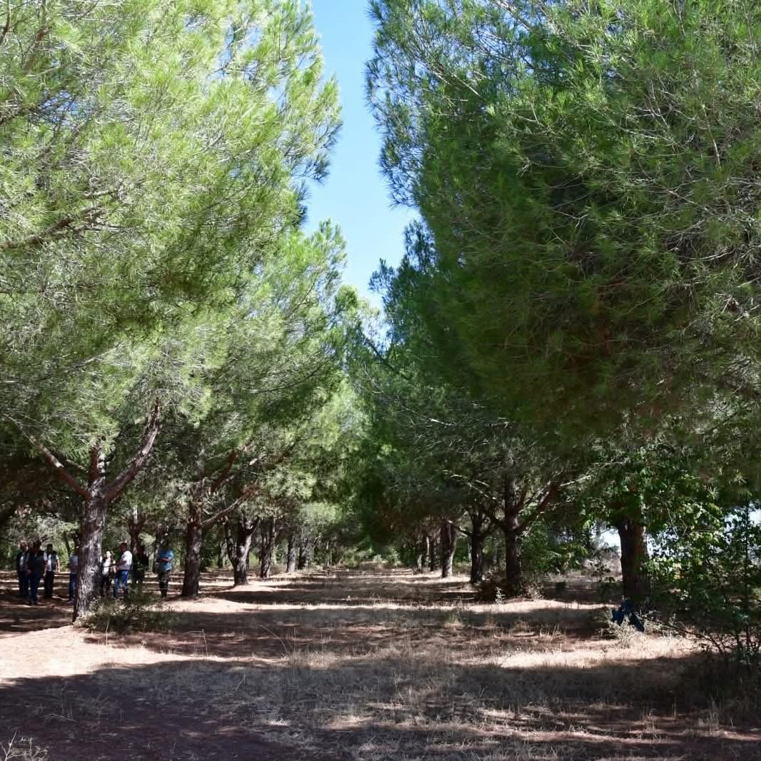 📌 ORMAN BÖYLE KORUNUR